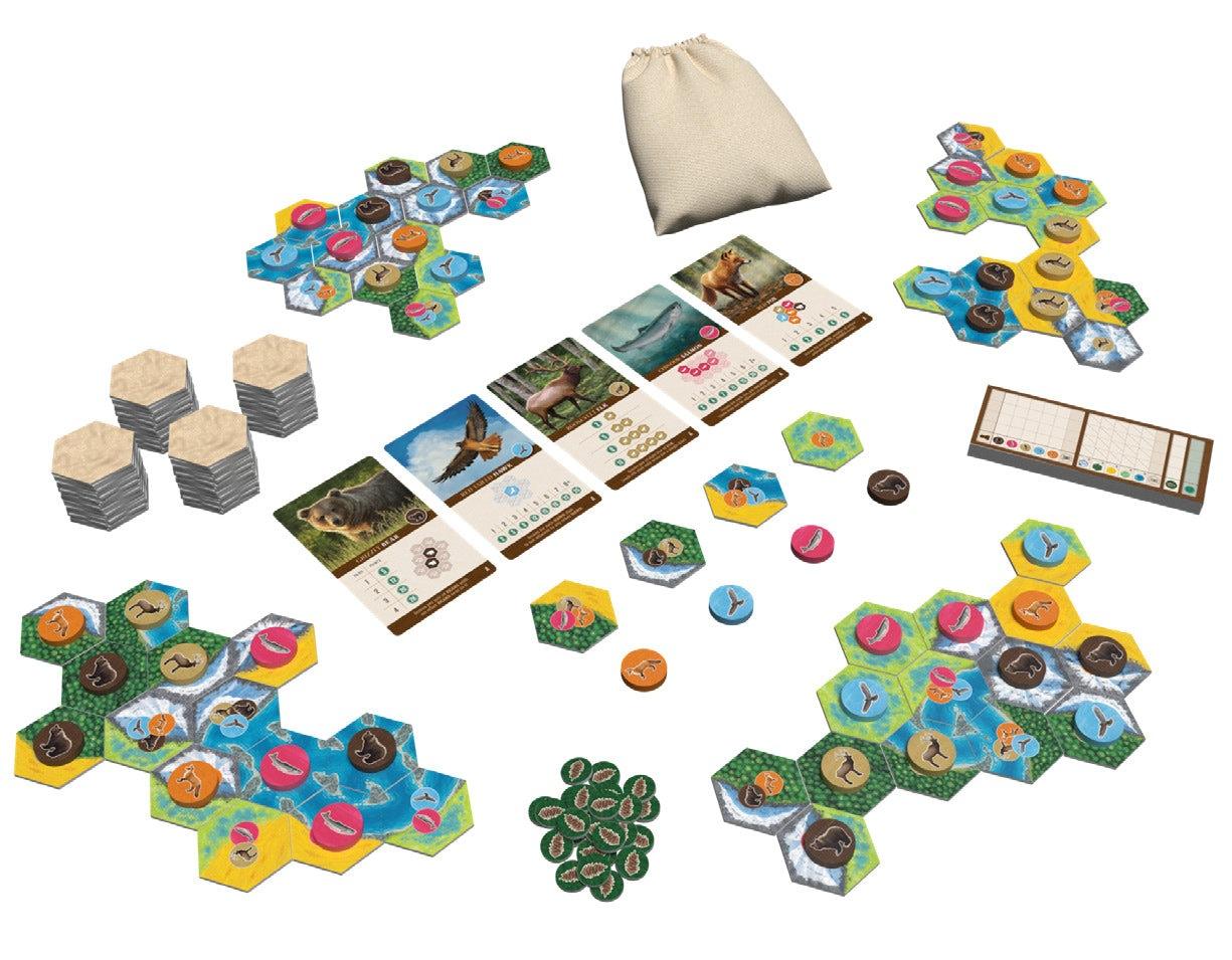 Kaskadia - Angry Boardgamer