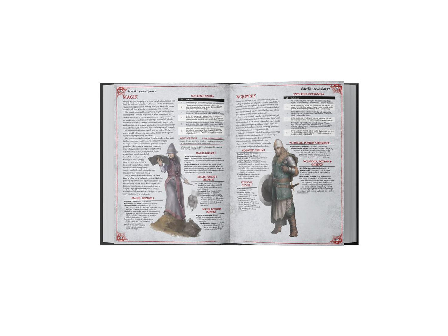 Gra Fabularna - Cień Władcy Demonów Podręcznik główny - Angry Boardgamer