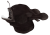 rebel-gra-strategiczna-na-dnie-morza-art2.png
