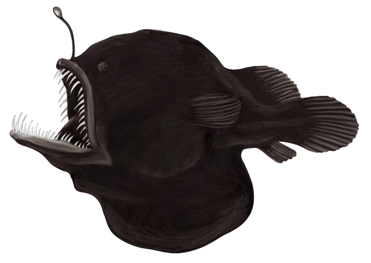rebel-gra-strategiczna-na-dnie-morza-art2.png