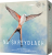 WS-box_3d.png